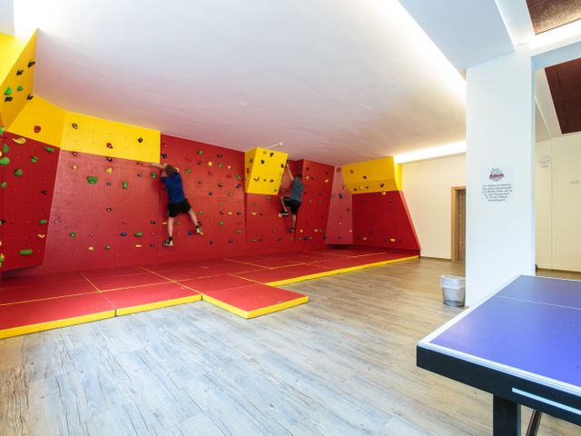 Familien- und Kinderclubhotel Wolkensteinbär***