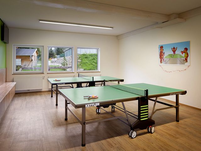Familien- und Kinderclubhotel Wolkensteinbär***